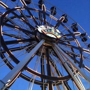 Meet your Posher, Darla